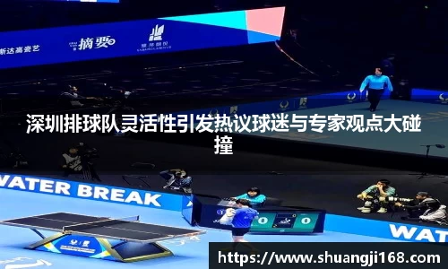 深圳排球队灵活性引发热议球迷与专家观点大碰撞