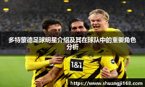 多特蒙德足球明星介绍及其在球队中的重要角色分析